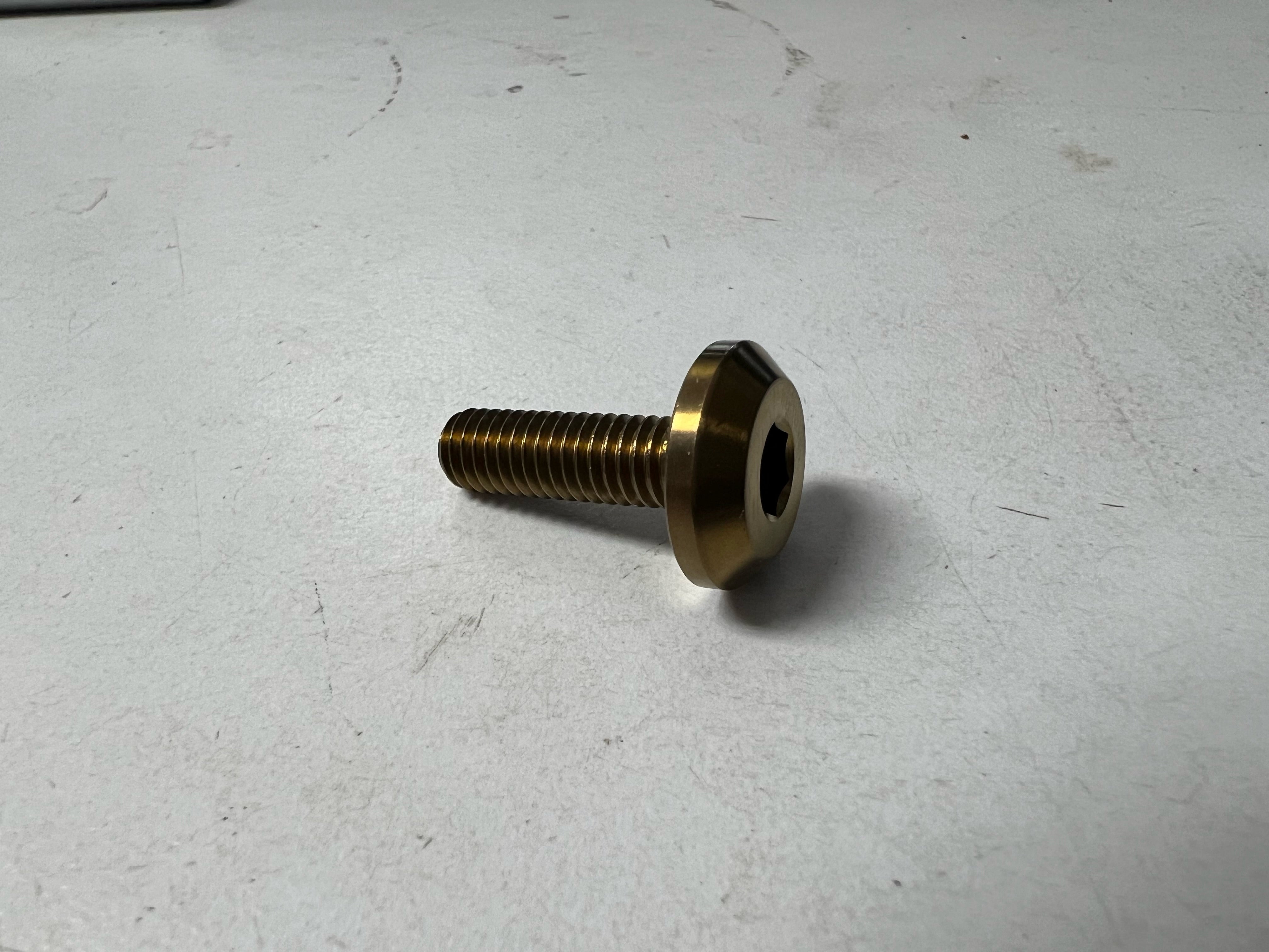 Titanium Fender/License Plate Bolts