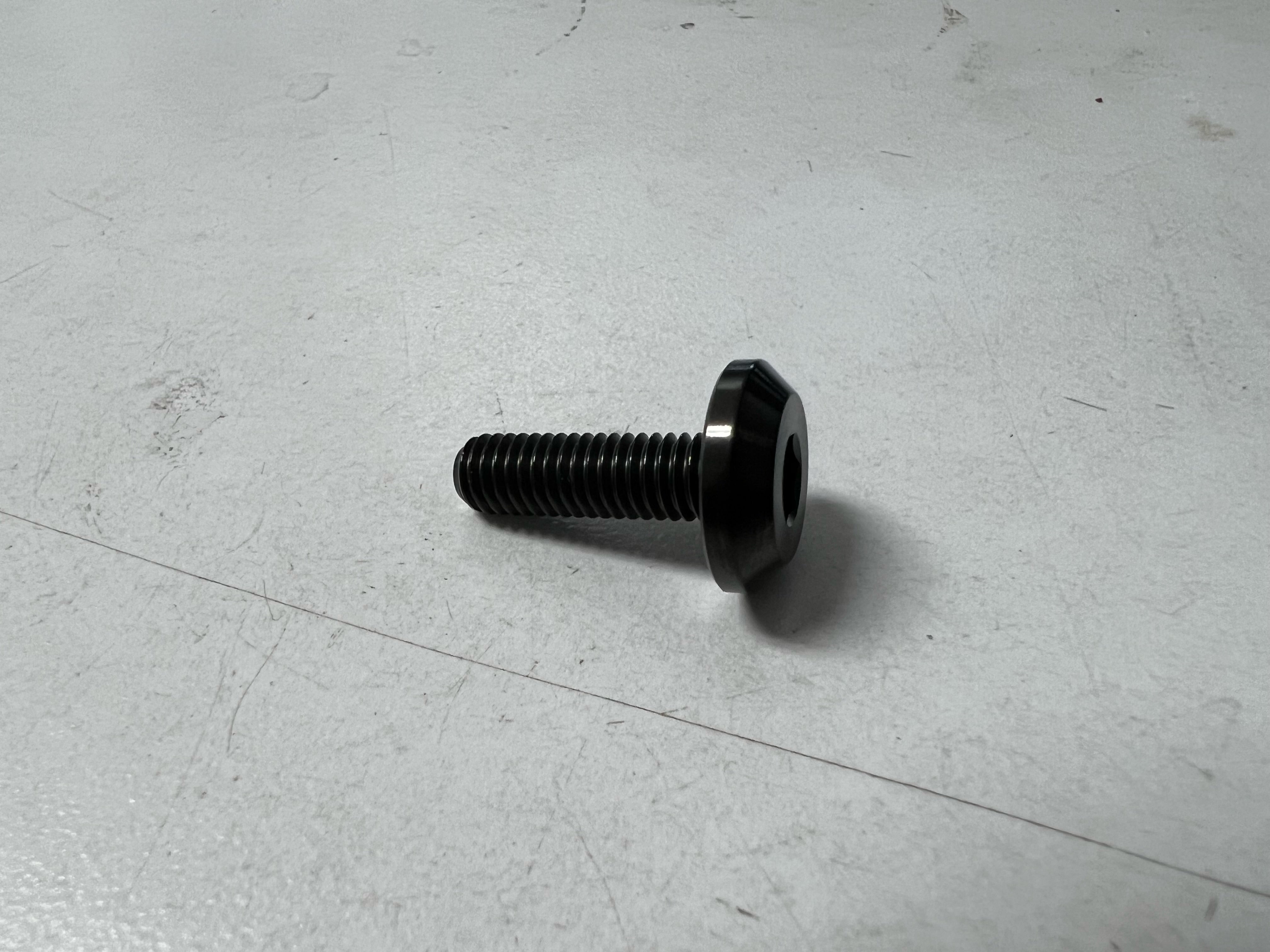 Titanium Fender/License Plate Bolts