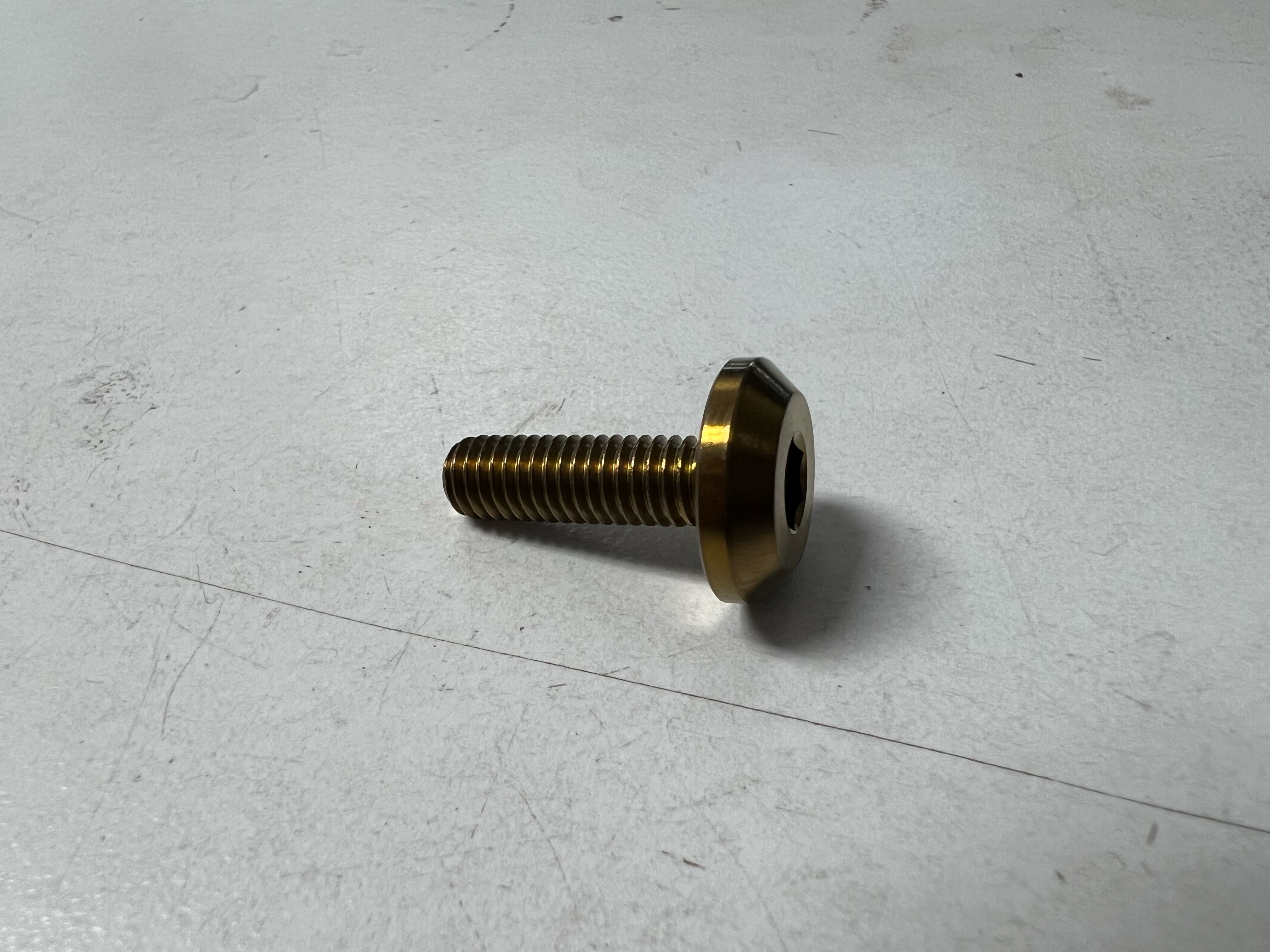 Titanium Fender/License Plate Bolts