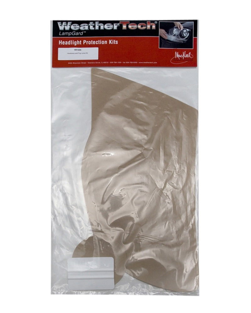 WeatherTech 06-10 Infiniti M LampGard